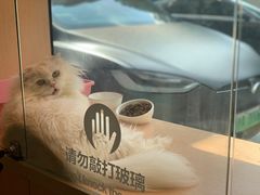 -Pets First伊珊娜洗护·精致美容·家庭式寄养(新会路店)