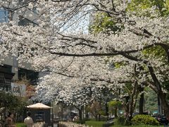 -玛格萝妮比萨屋(四平店)