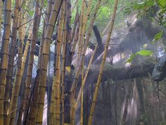 -青青世界
