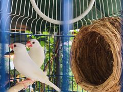 -胡桃里乐队酒馆(鎏嘉码头店)