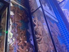 -吉友粥底火锅(方斜路店)