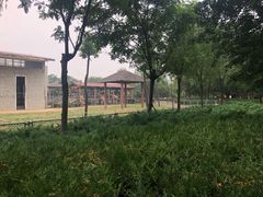 -石家庄市动物园