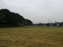-昆山城市生态森林公园