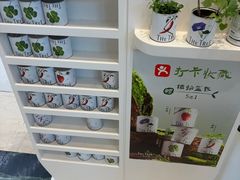 -大树餐厅(环球港店)