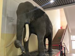 -国家自然博物馆