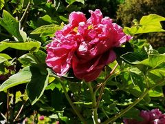 -国家植物园南园