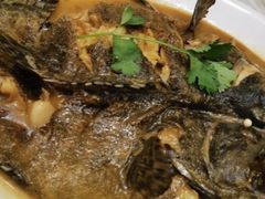 石斑鱼-双井轩(双井店)