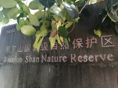 -海南热带雨林国家公园吊罗山景区