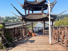 -呀路古热带植物园
