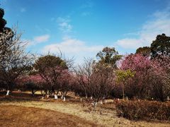-苏州太湖国家湿地公园