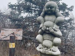 -武陵山森林公园