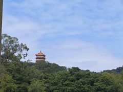 -鹿鸣酒家(越秀店)