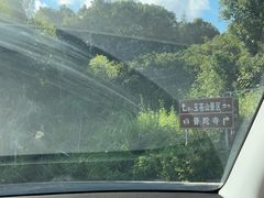 -玉苍山国家森林公园