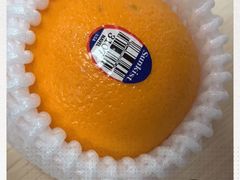 -北海渔村酒楼·粤菜海鲜点心(新华店)
