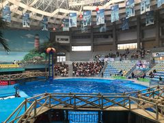 -海合安成都极地海洋公园