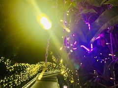 -宝莱纳啤酒花园餐厅PAULANER BRAUHAUS Nanjing(广州路店)