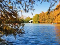 -上海海湾国家森林公园