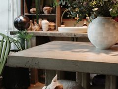 -自由生长植物工作室(深港花卉中心店)