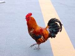 -三里河公园