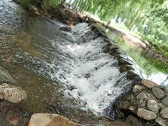 -长白岛森林公园