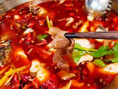肥肠-蛙一刀·麻椒鱼火锅(金仙桥店)