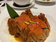 -南麓·浙里(外滩店)