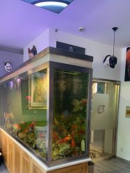 -雕哥的纹身店A3 TATTOO&纹身培训