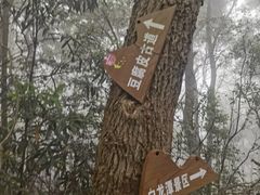 -午潮山国家森林公园