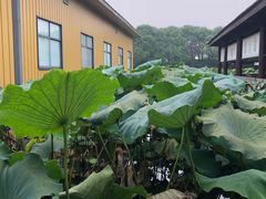 -千龙湖生态旅游度假区