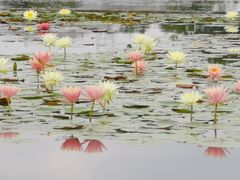 -映月湖公园