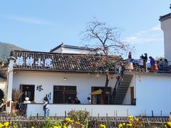 -塔川景区