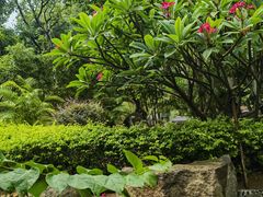 -龙佳生态温泉山庄