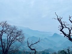 -青城山