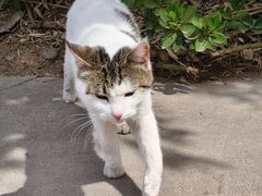 -姚家猪蹄坊(蓝田县店)