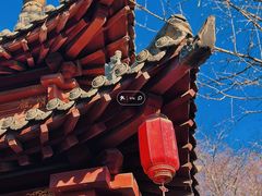 -碑林公园