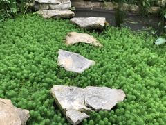 -南山植物园