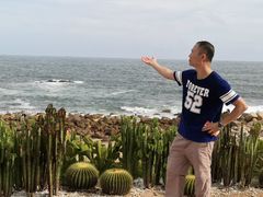 -广东惠东海龟国家级自然保护区