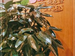 -桃花源中餐厅(金茂豪华精选酒店)