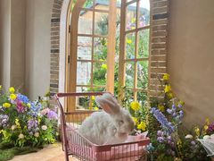 -HERRE·FARM 赫尔露营农场·团建聚会包场