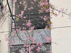 -福州大学(旗山校区)