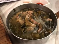 -MR鹅外