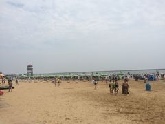 -碧海金沙