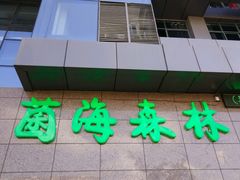 -菌海森林·非遗野生菌火锅(西山区滇池路摩根道店)