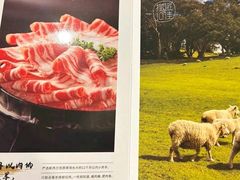 -海底捞火锅(万达店)