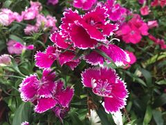 -人民公园(罗湖区)