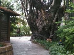 -龙达温泉生态城