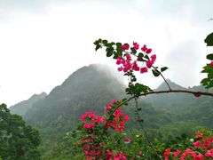 -锦州笔架山风景区
