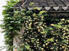 -惠山古镇·寄畅园