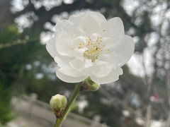 -船政文化景区-罗星塔公园