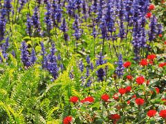 -人民公园(罗湖区)